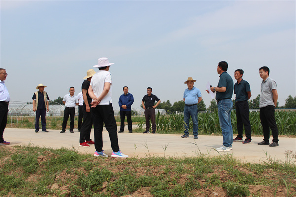 验收工作组在曹新庄试验农场验收高标准农田建设配套工程.jpg