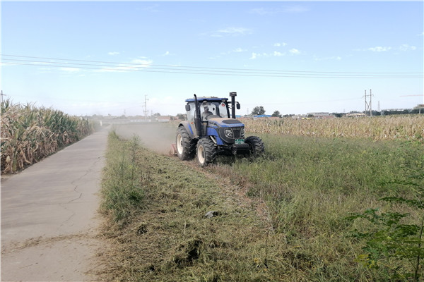 曹新庄试验农场机械清理试验地道路旁杂草.jpg