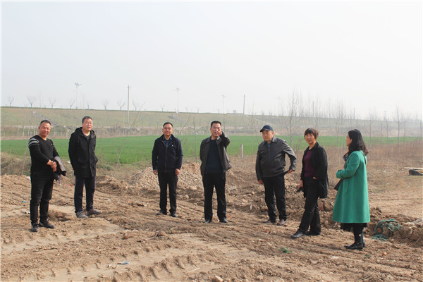 朱荣科检查沙场回收土地平整回填工作_副本.jpg