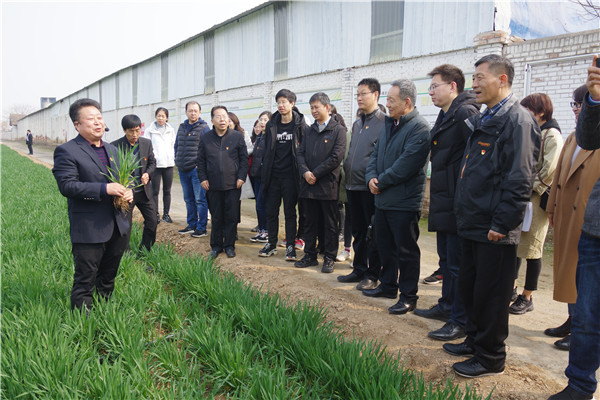 在斗口试验站参观学习.jpg