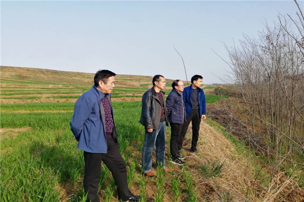 实地考察.jpg