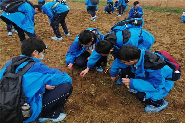 同学们亲自劳动.jpg