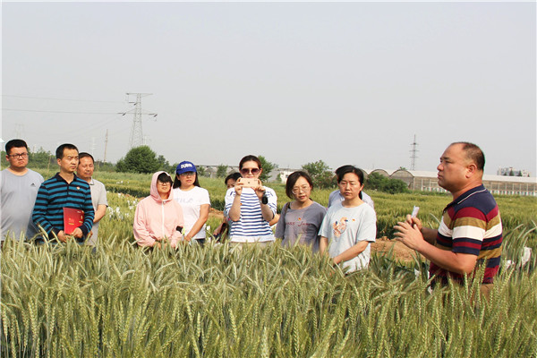 讲解小麦田间管理及病虫防治_副本.jpg