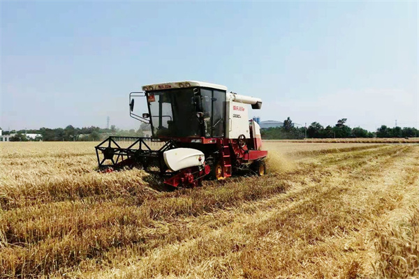 曹新庄试验农场机械收获.jpg
