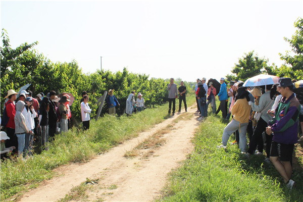 8880342c329f4e9aa261a4df45933b35.jpg 植保学院本科生在樱桃试验园教学实习.jpg