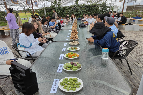 学生品鉴猕猴桃.jpg