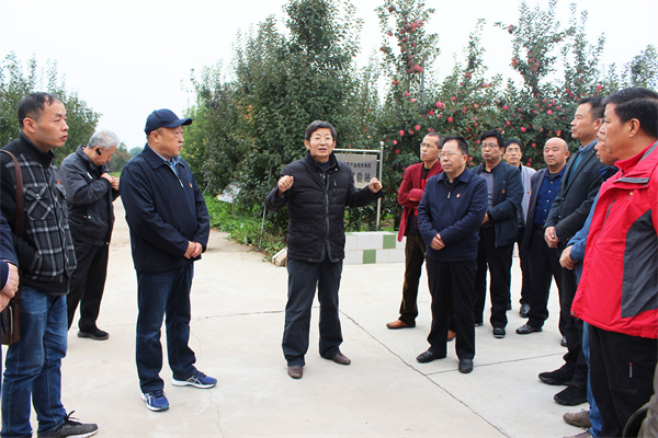 e86e44669e774ec2b9fb32fda7b9e3e3.jpg 在我校千阳苹果试验示范站参观学习.jpg