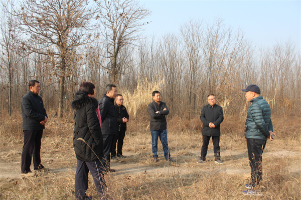 朱荣科调研指导高标准农田建设_副本.jpg