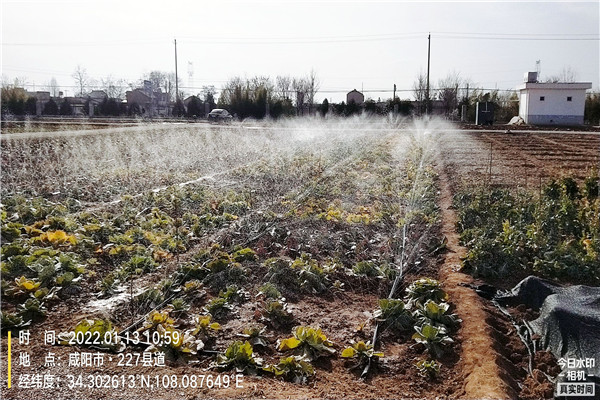 蔬菜基地微喷灌.jpg