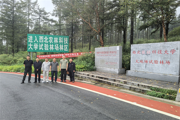 实地检查.jpg