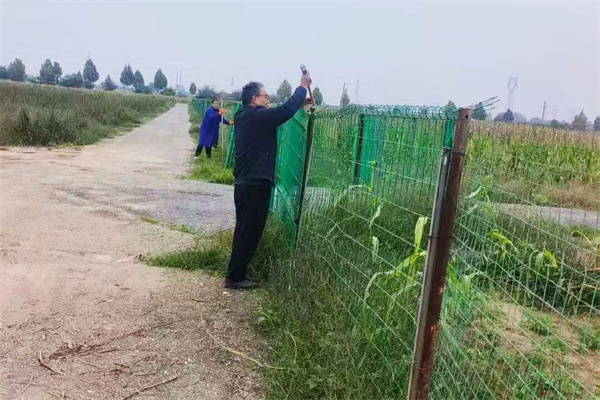 及时修复试验地围网_副本.jpg