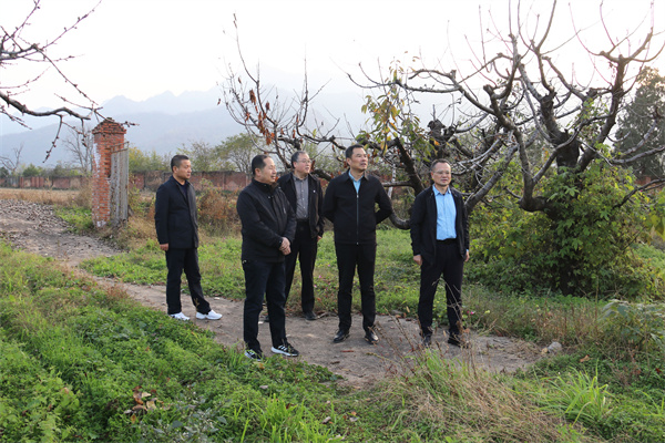 黄伟赴眉县试验站协调推进科研项目落地