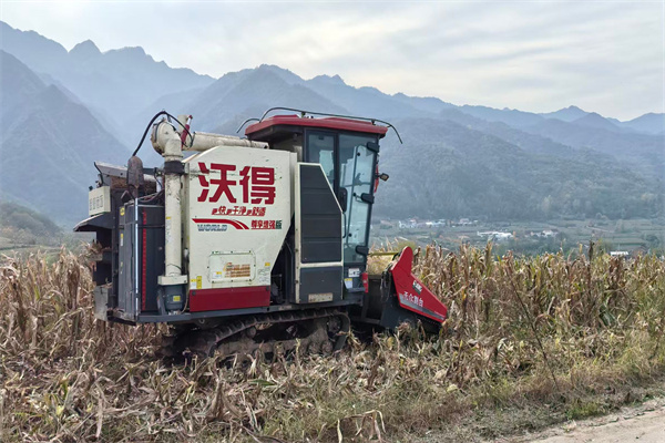 玉米机械收获.jpg