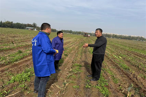 吴继东在咸阳试验站检查指导秋收秋播工作_副本.png
