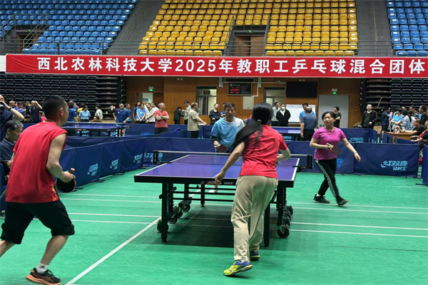 2025年教职工乒乓球团体赛