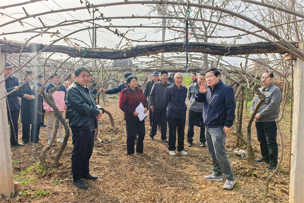 现场教学.jpg