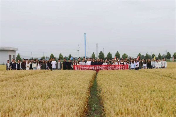 实践教学1.jpg