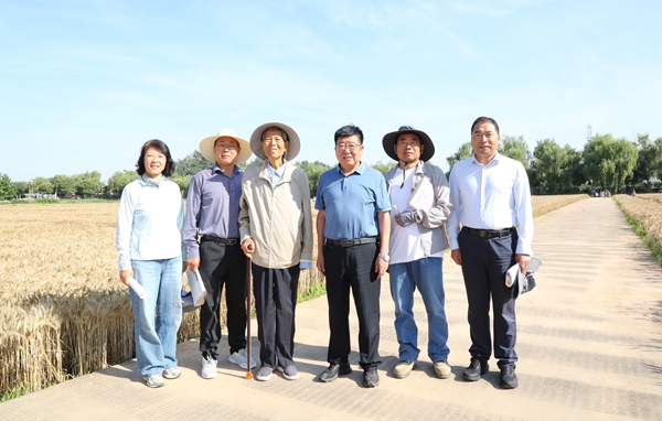 2.吴普特和西农979育种团队合影_副本.jpg