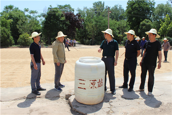 指挥部一行在斗口试验站晒场检查消防水桶配备.jpg