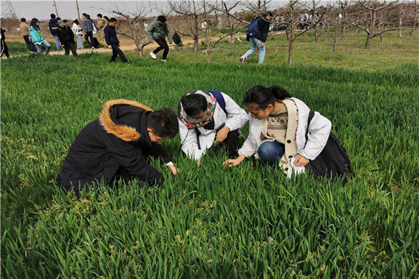 028c723502c7407fa375fa4b6035c7de.jpg 聚精会神统计药效.jpg