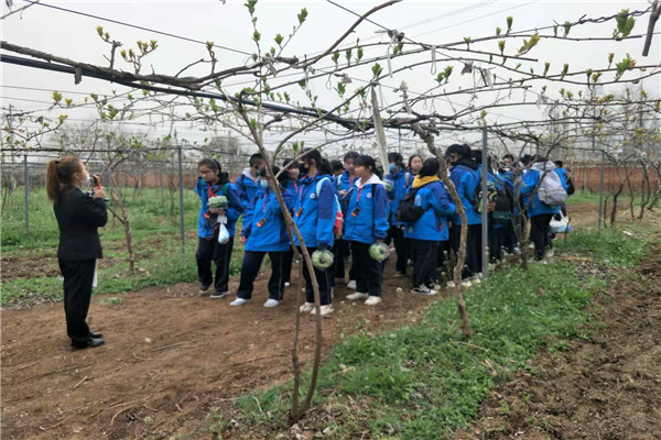 052f1f6c1f6d4e479ead834c17b2aad4.jpg 讲解猕猴桃知识.jpg