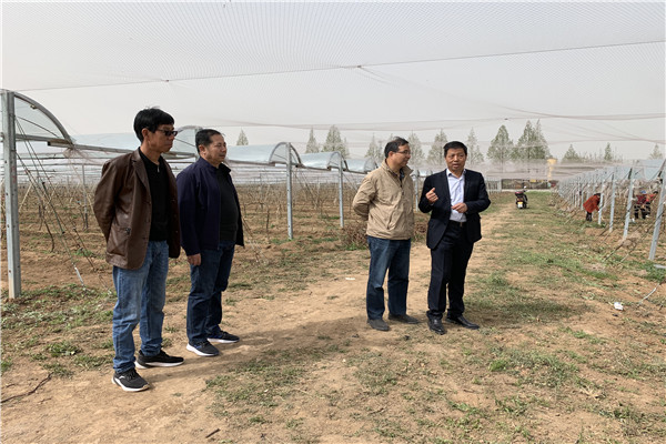 0e3ff2c9d2374867b10441ea2eb919b5.jpg 现场确定监控建设方案.jpg