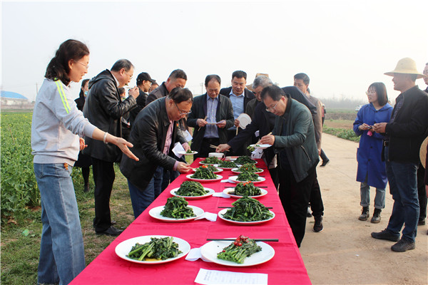 与会代表共同品鉴菜薹美食.jpg