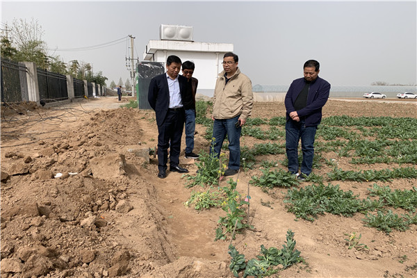 d9439d3d3f8844b8914715b8ce19d57c.jpg 检查蔬菜基地施工现场安全.jpg