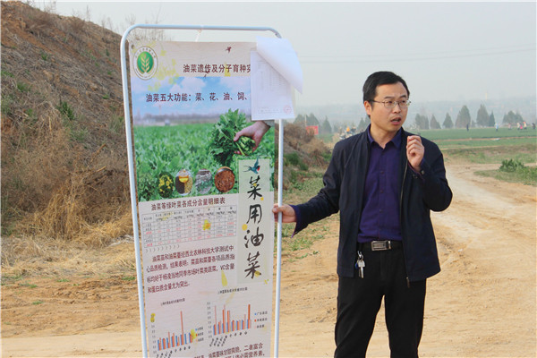 农学院植物科学系黄镇教授科学解析菜用油菜的营养价值与功效.jpg