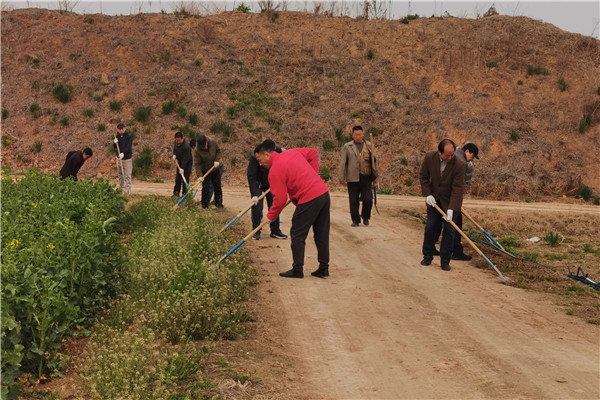 e343c2d12a39447daf62bded4f497162.jpg 集中开展试验田环境整治行动.jpg