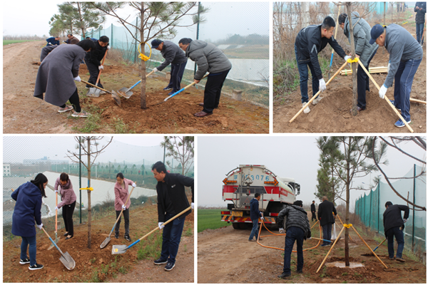 干部职工团结协作参与植树添绿活动.png