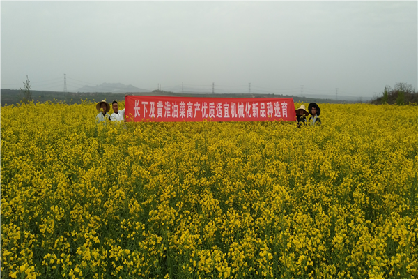 27d2ecae33624715a6e23666fd0ddd7a.png 农学院徐爱遐教授在乾县试验站开展育种工作_副本.png