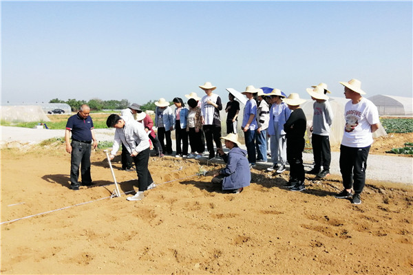 0de4fc5008be48d685978df2fce93334.jpg 劳动实践1.jpg