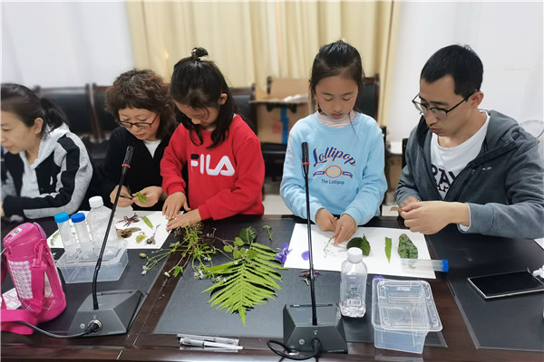 2b653b3de12b47f08253f12789531ff9.jpg 制作植物标本.jpg