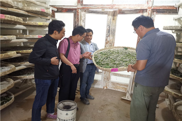 2df47981f4e44422a32220ada030e555.jpg 参观家蚕饲育室.jpg