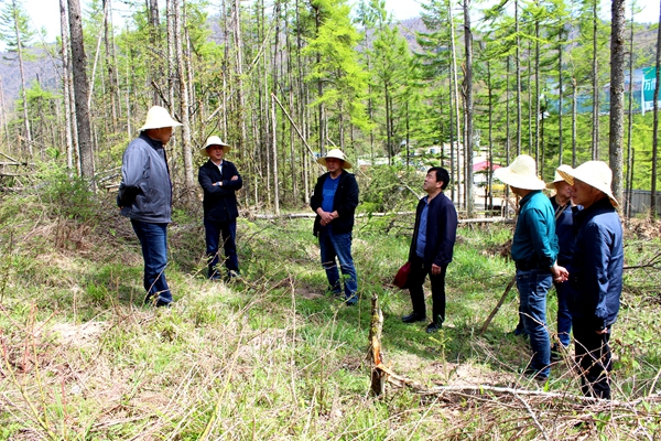 场站管理处处长朱荣科现场检查试验示范造林情况_副本.jpg