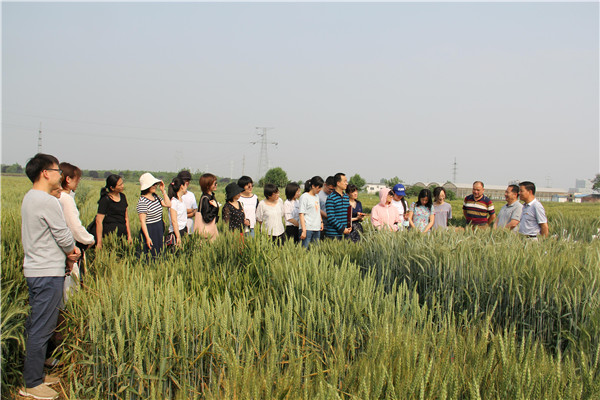 6b1eea23ea7845cd95edb0dff4269ff3.jpg 饶慧斌给大家介绍农场情况_副本.jpg