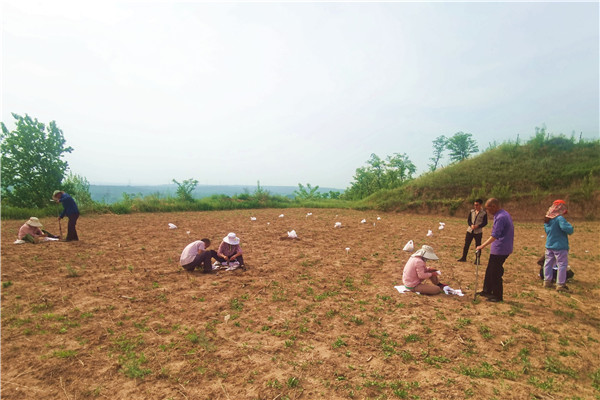 7d2ecdc70bee4398adecc014661b940c.jpg 采集土样_副本.jpg