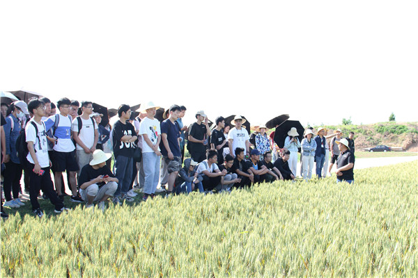 929a2e83858e4999b85977eda62f48f5.jpg 讲解小麦田间管理知识.jpg