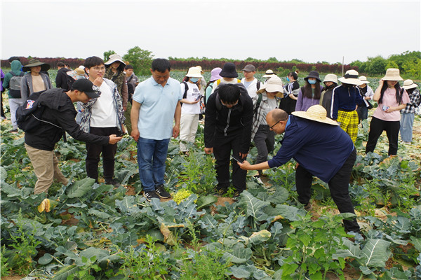 a3dafa31b53641bc8abe41a46adb5e2b.jpg 师生开展蔬菜病虫草害调查.jpg