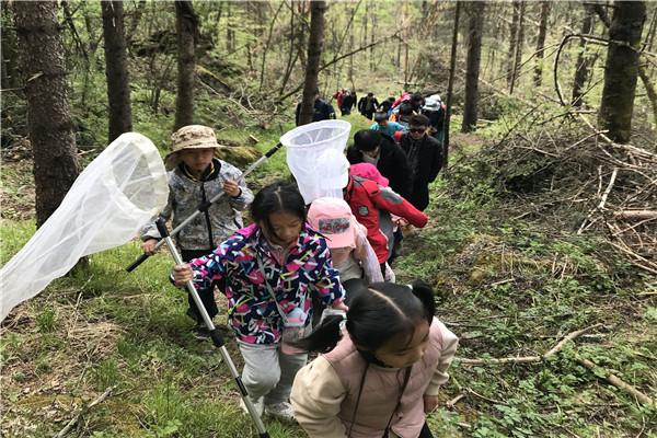 a895fd29b98c410eb091eac6195e2966.jpg 采集昆虫标本.jpg