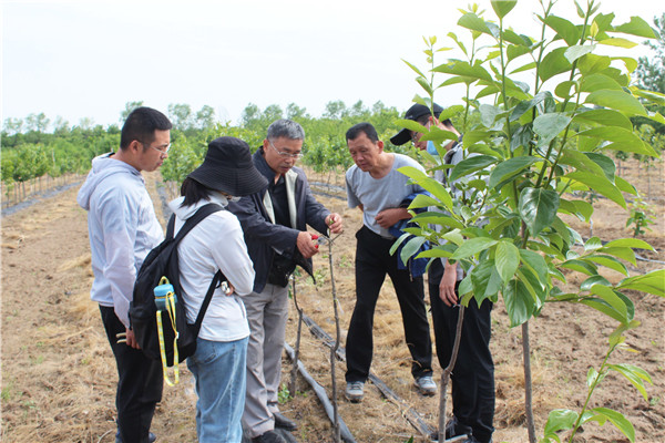 ad59c929cc184cb2aa8b6dfb75c98a2f.jpg 杨勇研究员指导同学们动手实践操作.jpg