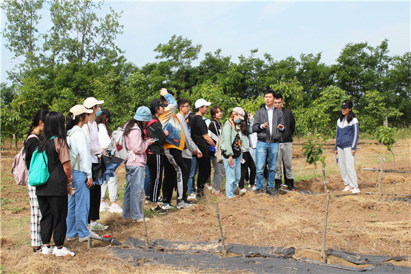 d389de5c631748cfa19841408007c7e7.jpg 关长飞老师向实习学生介绍柿砧木的实生育苗流程.jpg