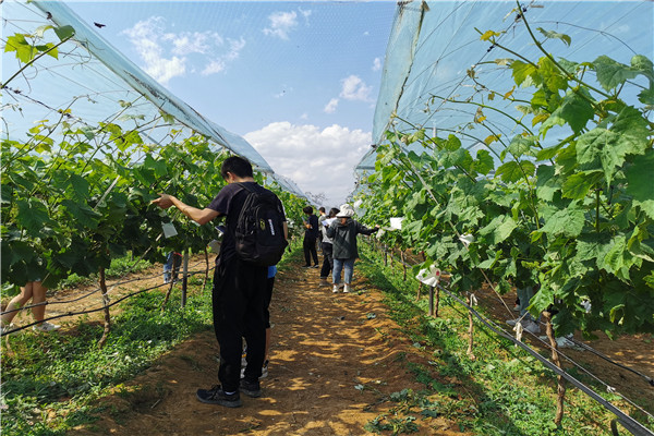 ddc62d6f1ca146d880674361451e9ce5.jpg 学生动手修剪.jpg