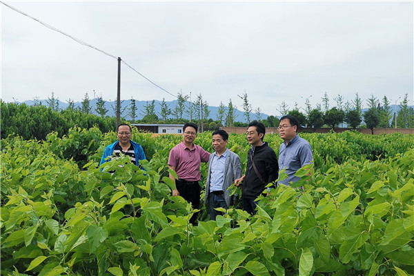 edebfa84853e4a099dd3083e79e1f5c8.jpg 参观桑园.jpg