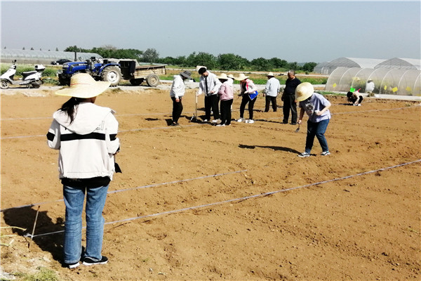 ee879c98eed542759c7f6297862d9d02.jpg 劳动实践.jpg