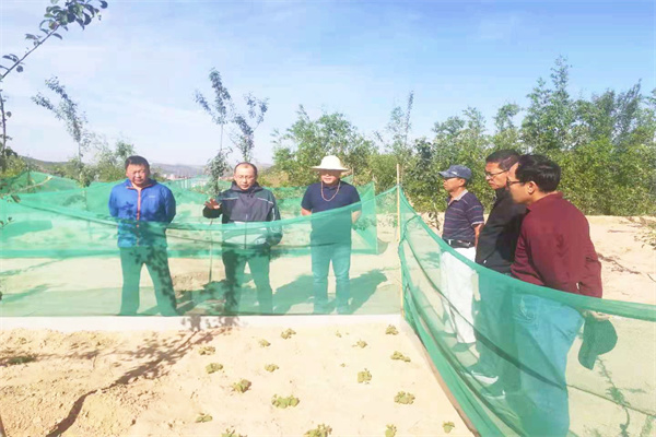 1c62ffbacb8049a2bdbfbc5943a96344.jpg 田间试验管理业务培训.jpg