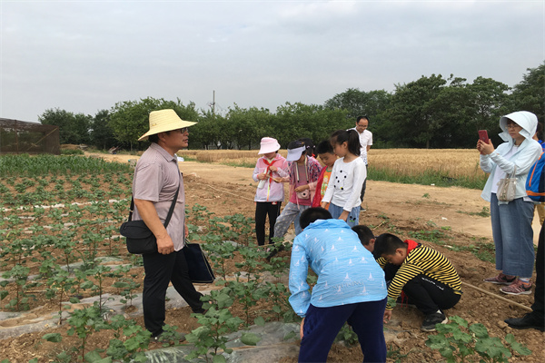 在农作物标本区认知学习.jpg
