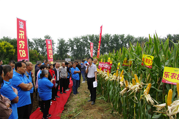 5918ddb9e501442e9eef1596aea599df.jpg 玉米全程管理技术专题培训_副本.jpg