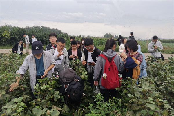 学生们在田间开展综合实习.jpg